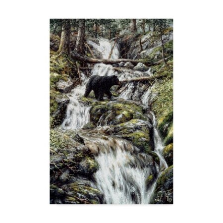 Trademark Fine Art Jeff Tift 'Bear Creek Crossing' Canvas Art, 22x32 ALI30256-C2232GG